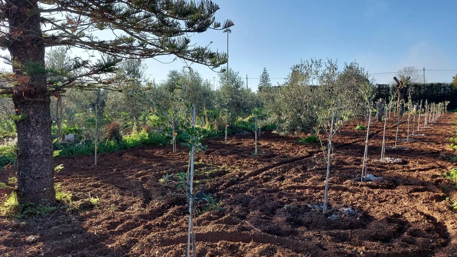 Agroturismo Villa L'Aira Ecchia - Ospitalita Rurale Lecce